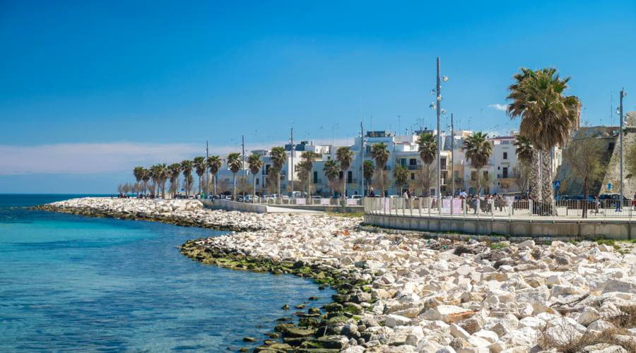 Quali sono le scelte di veicoli più popolari a Mola di Bari?
